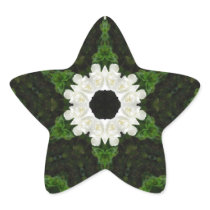 Beautiful Gardenia 5 Kaleidoscope 9 Star Stickers
