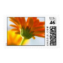 Beautiful Gerbera postage