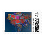 beautiful gerberas postage stamps