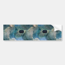 Beautiful Giant clam siphon Bumper Stickers
