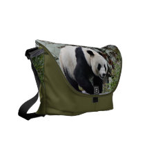 Beautiful Giant Panda Bear Photographic Commuter Bags
