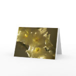 beautiful gladiola greeting cards