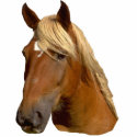 Beautiful gold mained horse sculpture photo sculptures