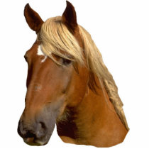 Beautiful gold mained horse sculpture photo sculptures