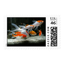 Beautiful Goldfish postage by sweetbunny Beautiful Goldfish postage