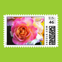 Beautiful graceful  rose postage stamps