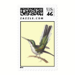 Beautiful Green Hummingbird -Rene Primevere Lesson stamps