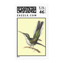Beautiful Green Hummingbird -Rene Primevere Lesson Postage