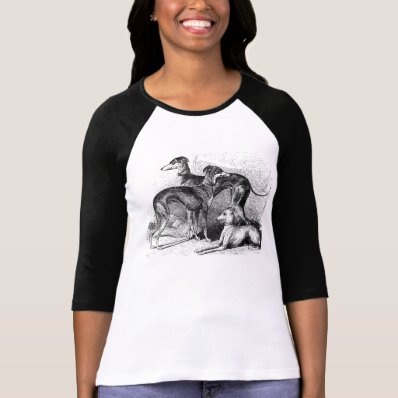 Beautiful Greyhounds T-shirt