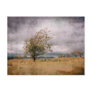 Beautiful grunge landscape with a tree postcard