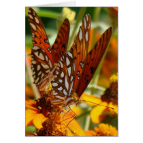 Beautiful Gulf Fritillary Butterfly Card cards