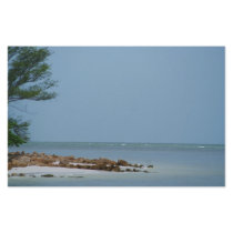 Beautiful Gulf stationery