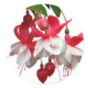 Beautiful hanging fuchsia plant stickers