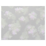Beautiful Hard coral polyps Personalized Letterhead