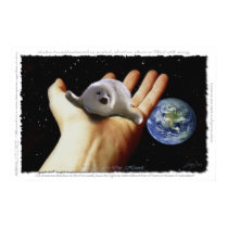 BEAUTIFUL HARP SEAL Larger Earth Day posters