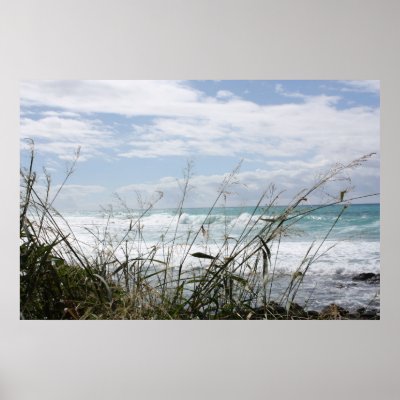 Beautiful Hawaiian Ocean Poster by Karedesign4