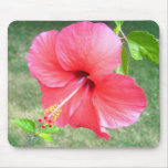 Beautiful hibiscus 2 mousepad
