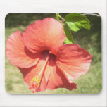Beautiful hibiscus mousepad