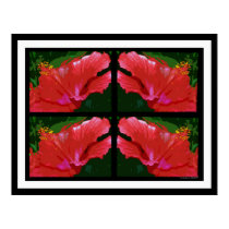 Beautiful Hibiscus Times Four posters by londie Beautiful Hibiscus Times Four posters