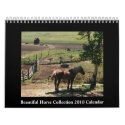 Beautiful Horse 2010 Calendar calendar