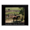 Beautiful Horse 2010 Calendar