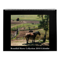 Beautiful Horse 2010 Calendar