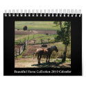 Beautiful Horse 2010 Calendar