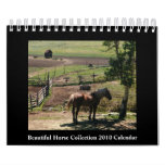 Beautiful Horse 2010 Calendar