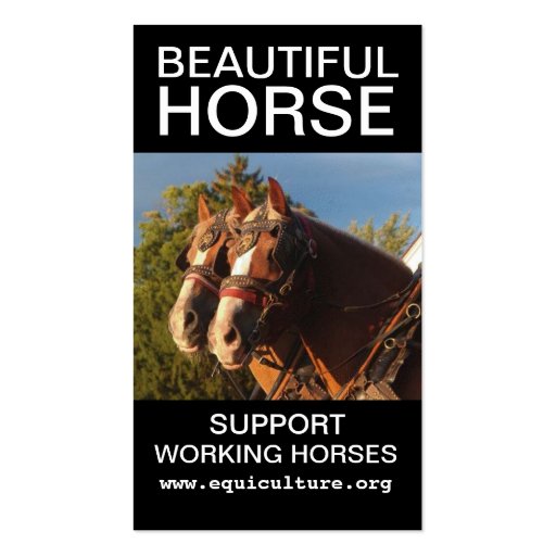 Beautiful Horse Business Card (front side)