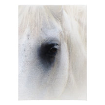 Beautiful Horse Eye Invite
