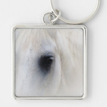 Beautiful Horse Eye Keychain