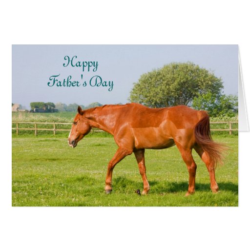 beautiful-horse-happy-father-s-day-card-zazzle