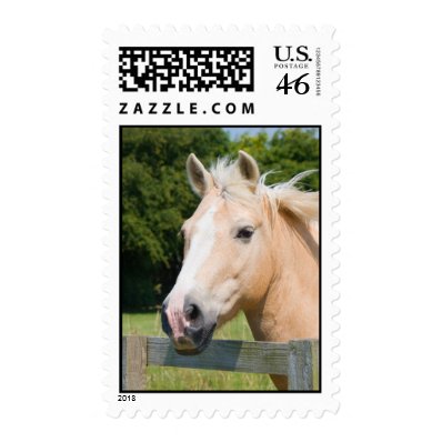 Beautiful horse head palamino postage stamp