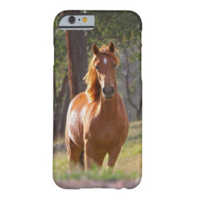 Beautiful Horse iPhone 6 case for Horse Lovers