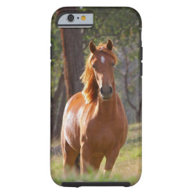 Beautiful Horse iPhone 6 case for Horse Lovers