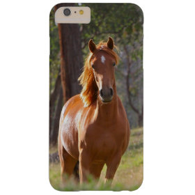 Beautiful Horse iPhone 6 Plus Case Horse Lovers