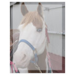 Beautiful Horse Customized Letterhead