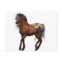 beautiful horse postcards