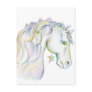 Beautiful Horse Postcards