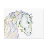 Beautiful Horse Post Cards