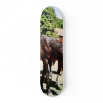 Beautiful Horse skateboards