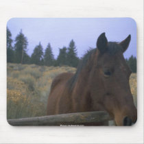 beautiful horses mousepads