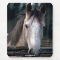 beautiful horses mousepads