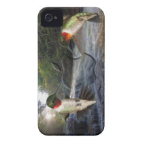 Beautiful Hummingbird - Iphone case Case-mate Iphone 4 Case
