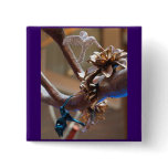 Beautiful Hummingbirds buttons