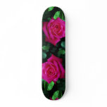 Beautiful Hybrid Tea Rose 'Miss All-American Beaut Skate Deck