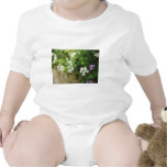 Beautiful Impression 1 Baby Creeper