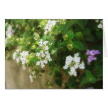 Beautiful Impression 1 Greeting Cards