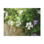 Beautiful Impression 1 Postcards