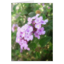 Beautiful Impression 3 Card